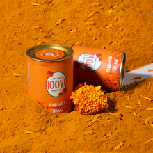 Load image into Gallery viewer, Natural Holi Colors