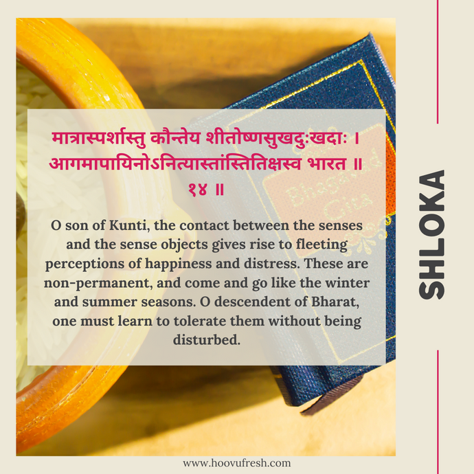 Conversation about Dharma | Bhagavad Gita Ch 2, Verse 14