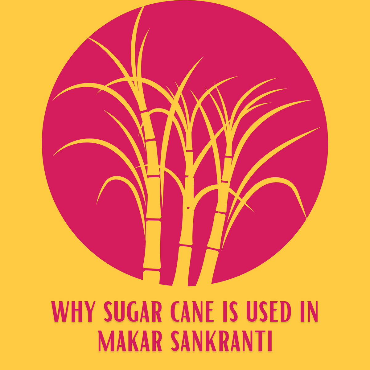 Sugar Cane & Sankranti Rosebazaar India