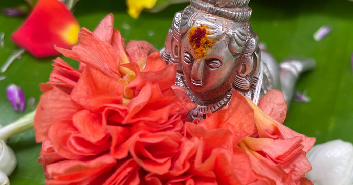 The Divine Blooms: Lord Krishna's Favorite Flowers