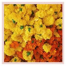 ಉಜ್ವಲವಾದ ಅಲಂಕಾರಗಳಿಗೆ ಹೂವನ್ನು ಹೇಗೆ ಬಳಸಬಹುದು