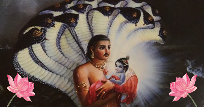 Krishna Janmashtami: The Celebration of Lord Krishna's Birth