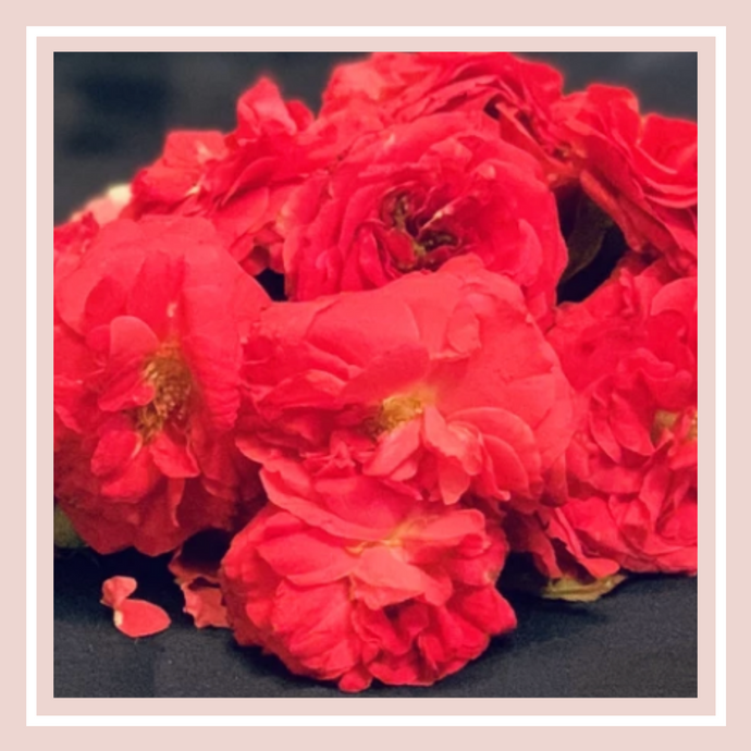 Flowers for Mental Health
