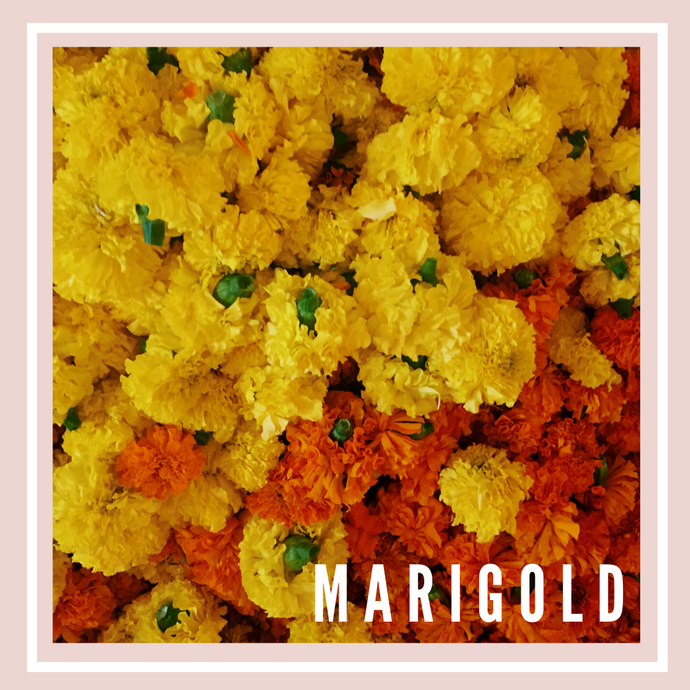 Marigold Puja Flower - Unknown Benefitary Facts