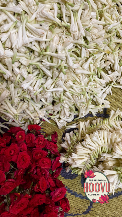 Jasmine and Rose Screensaver