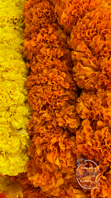 Garland Screensavers