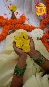 Indian Women holding Crysanthemum 🌼 wallpaper