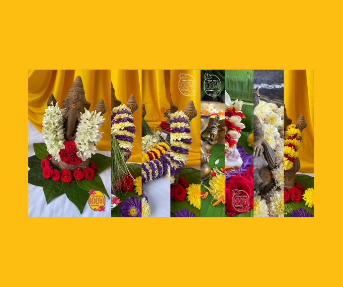 Ganesha Screensavers - Bundle of 8