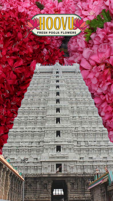 Temple Gopuram Screensaver